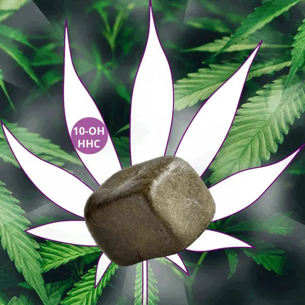 🌞 10-OH-HHC Hash "Indus Delight " 50% 🌞 CBD Hexe Onlinehandel