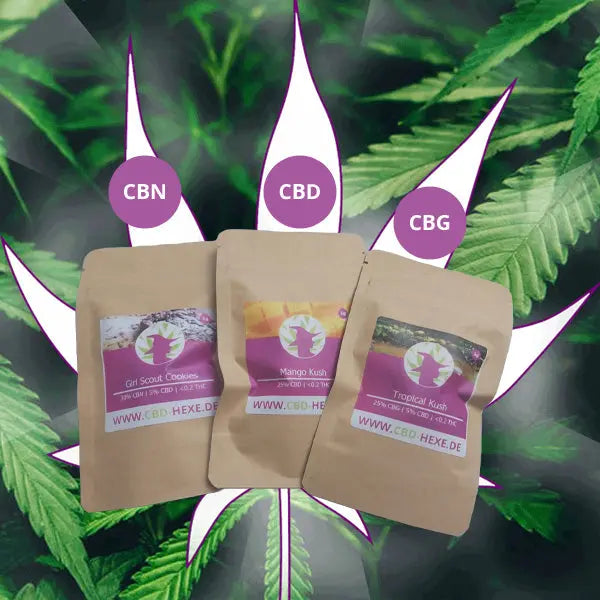 🌞 Neu! 3 Sorten CBD/CBG/CBN Blüten Testpaket 🌞 CBD Hexe Onlinehandel