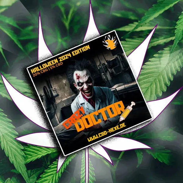 Halloween 2024🎃 CBG Blüten "Crazy Doctor" 20% CBG 🎃 CBD Hexe Onlinehandel