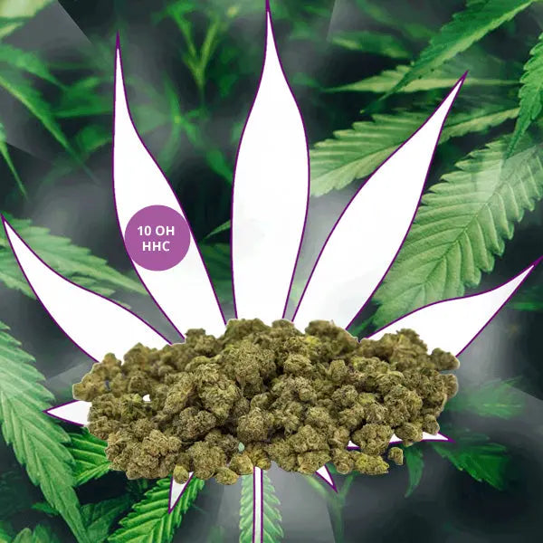 🍇Neu! - 10-OH-HHC Blüten "Sweet Berry" 40% 10-OH-HHC🍇 CBD Hexe Onlinehandel