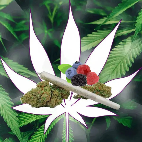 🍇 Neu! 10-OH-HHC Sweet Berry Pre Rolled Stick 40% 10-OH - Handgefertigt von der Hexe 🍇 CBD Hexe Onlinehandel