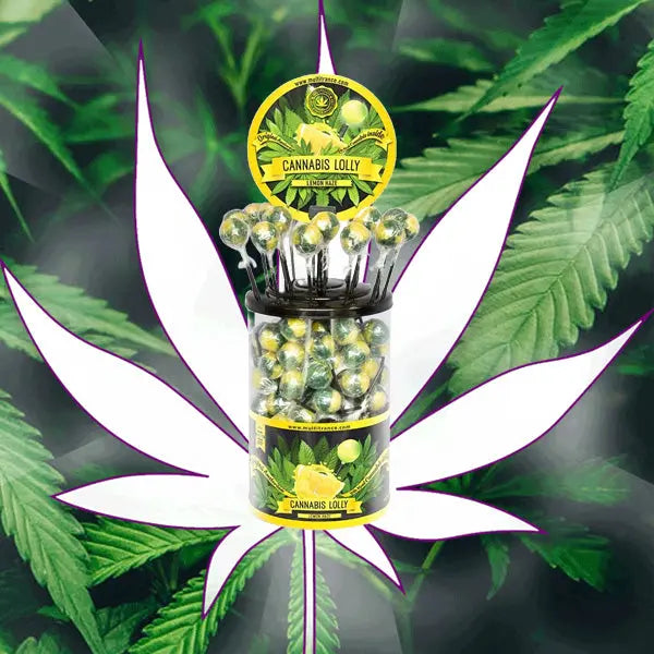 Neu! Cannabis Lolly - Lemon Haze mit Hanföl - CBD Hexe Onlinehandel