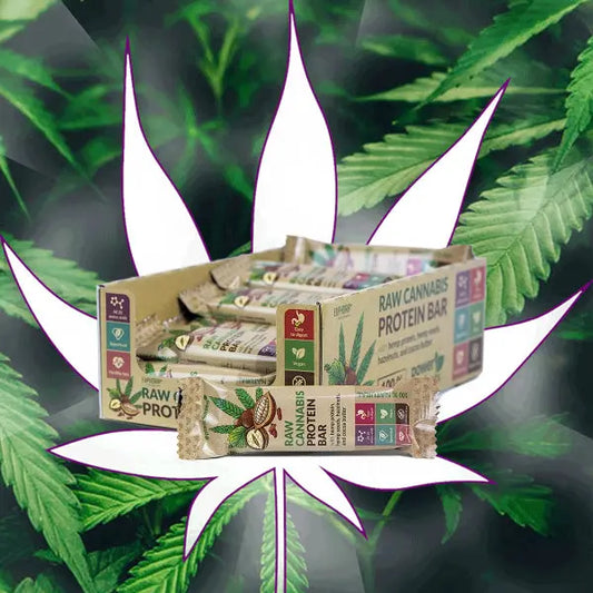 Neu! Raw Cannabis Protein Riegel - Apfel + Macadamianuss - CBD Hexe Onlinehandel