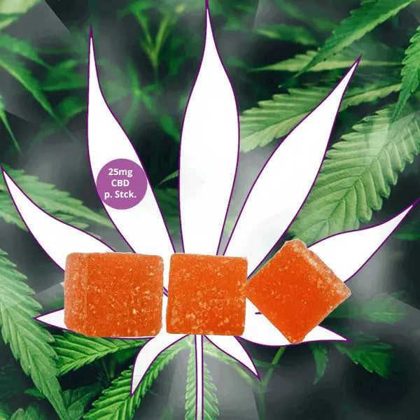 Neu! 🧸CBD Gummies - 10 Stck. mit je 25mg CBD pro Stück 🧸 CBD Hexe Onlinehandel