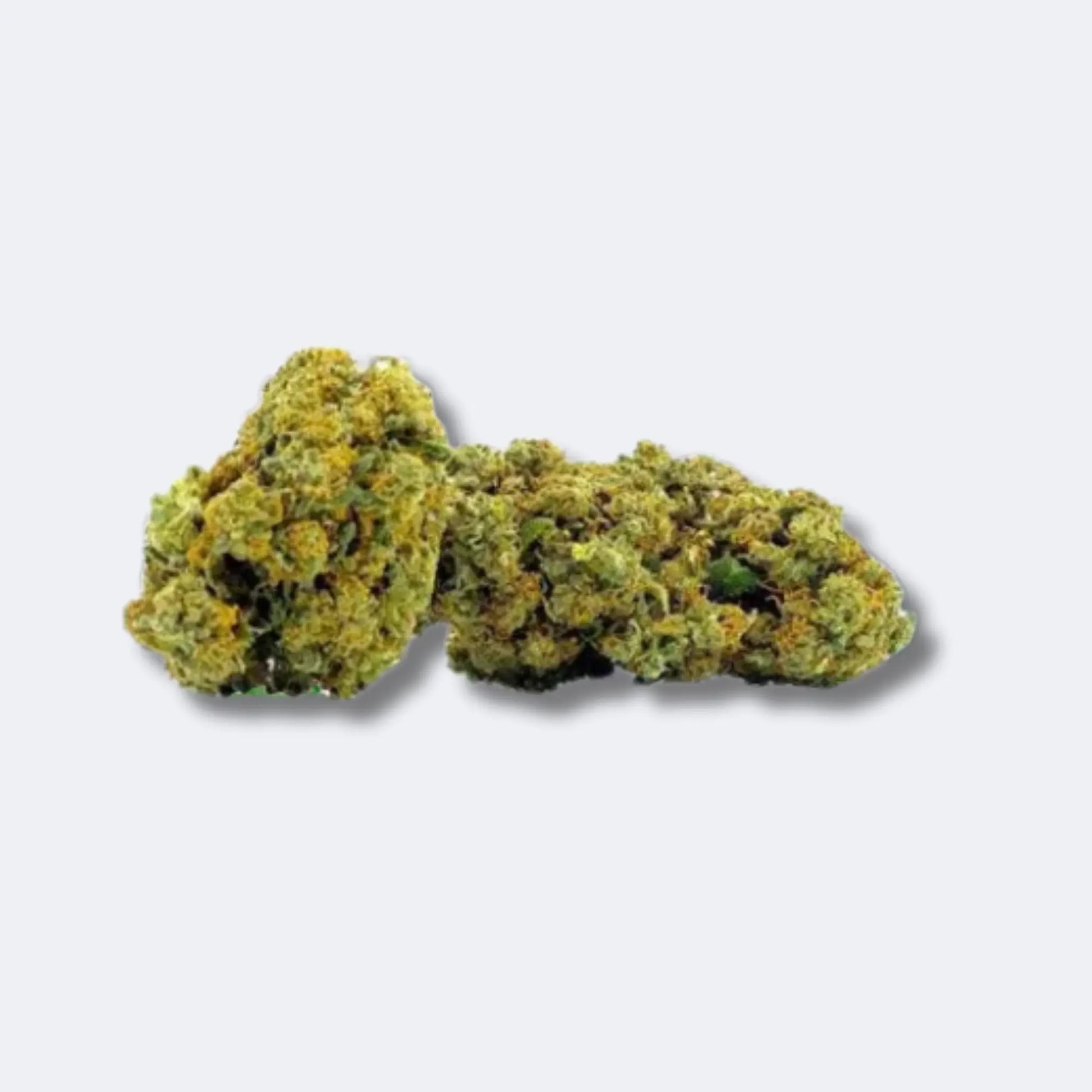 Orangello | 40% 10-OH-HHC CBD Hexe Onlinehandel